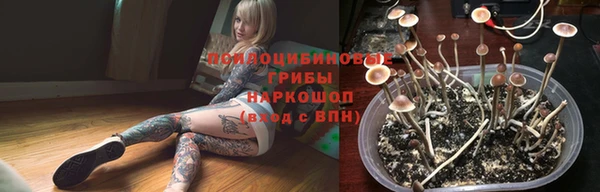 таблы Аркадак