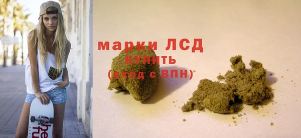 индика Балахна