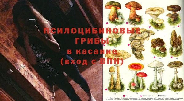 a pvp Армянск