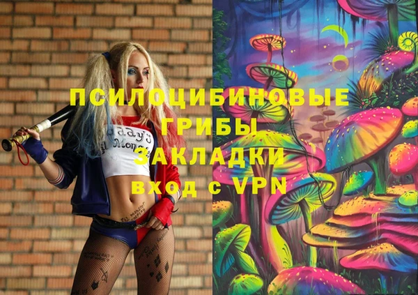 индика Балабаново