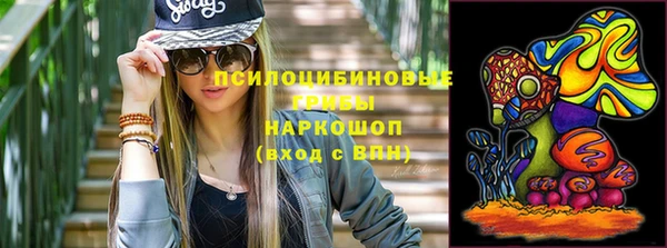 2c-b Инсар