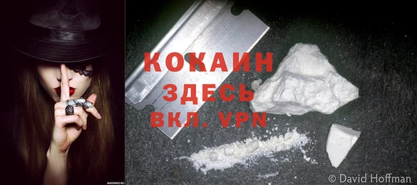 гидропоника Иннополис